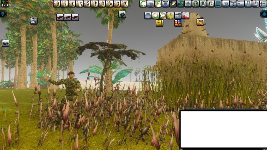 4th Location.jpg