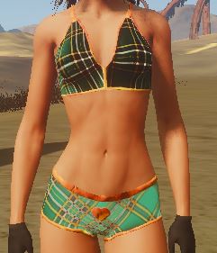 bikini with tartan.JPG