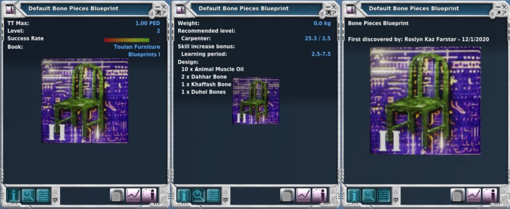 Bone Pieces.jpg