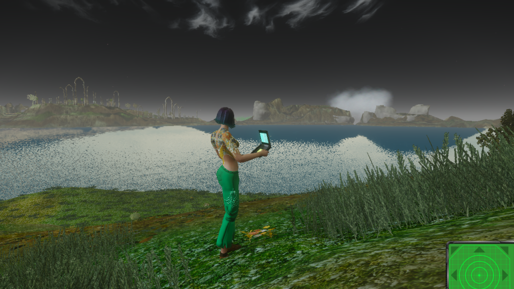 Entropia 2021-02-02 23.48.06.png