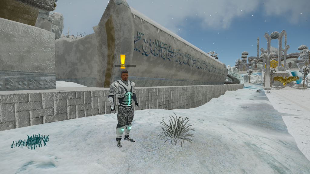 Entropia 2022-01-26 17-24-18-16.png