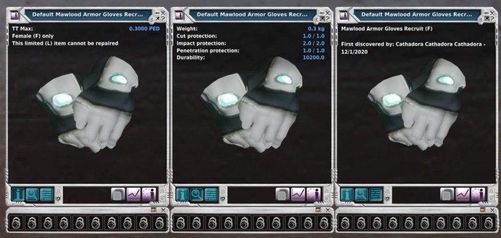 Mawlood Armor Gloves Recruit (F,L).jpg