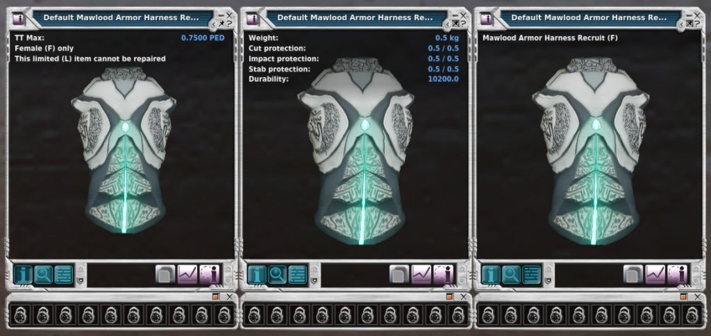 Mawlood Armor Harness Recruit (F,L).jpg