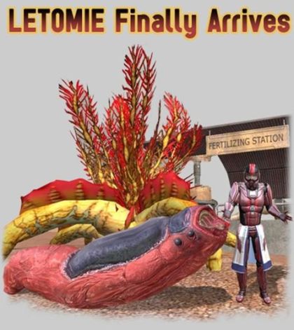 MSM Letomie Treasure Island 01.jpg