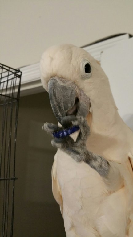 My Bottle Opener.jpg