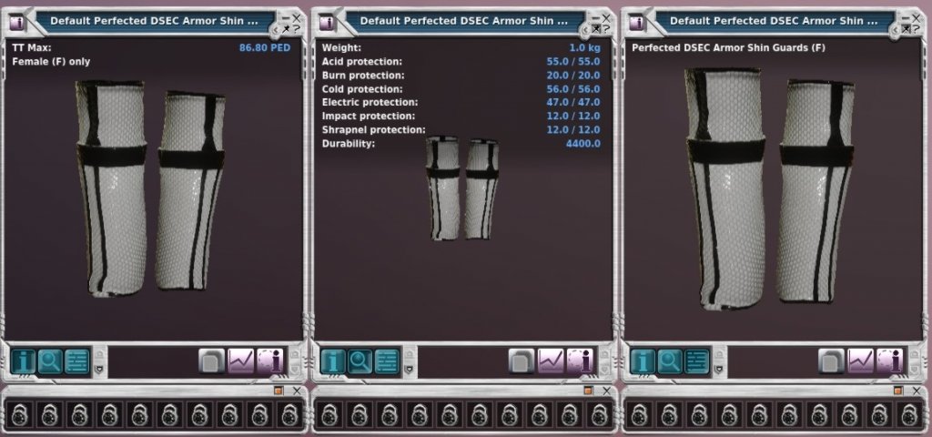 Perfected DSEC Armor Shin Guards (F).jpg