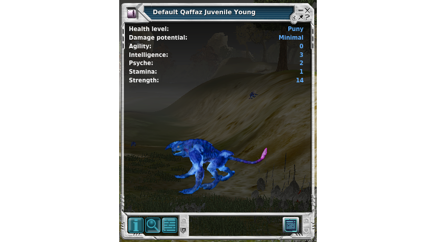Qaffas Juvenile Young.png