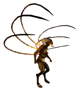 Shub-Transparent-300.png