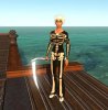 2-ms9-skeletonoutfit.jpg