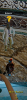 6.png 6.png