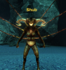 Shub.png