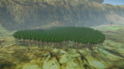 Elara Forest.png Elara Forest.png