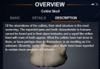 skulls2.png