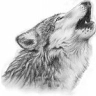 reorgas