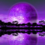 Purplebong