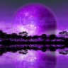 Purplebong