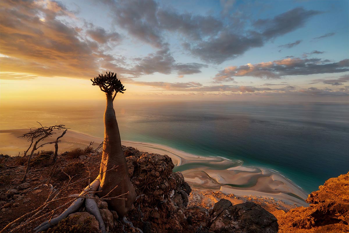 socotra.it